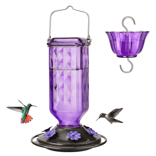 🎁TikTok Last Day Sale - 70% OFF🔥Glass Hummingbird Feeder