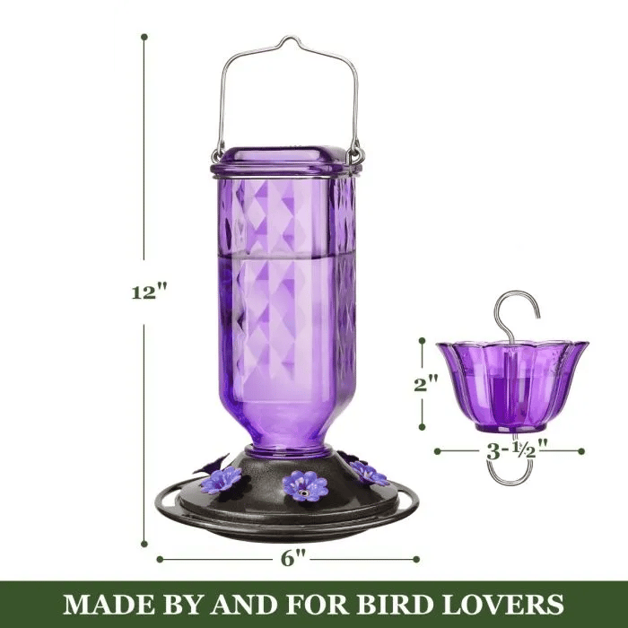 🎁TikTok Last Day Sale - 70% OFF🔥Glass Hummingbird Feeder