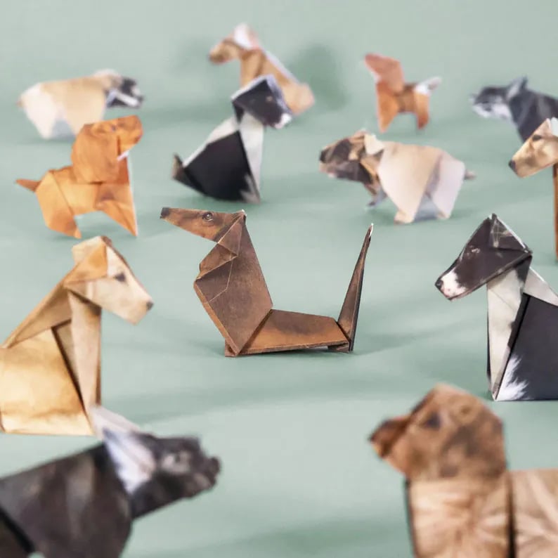 🏆Flash Sale⚡50K+ SOLD! Almost Gone-🎅-DIY Paper Cats