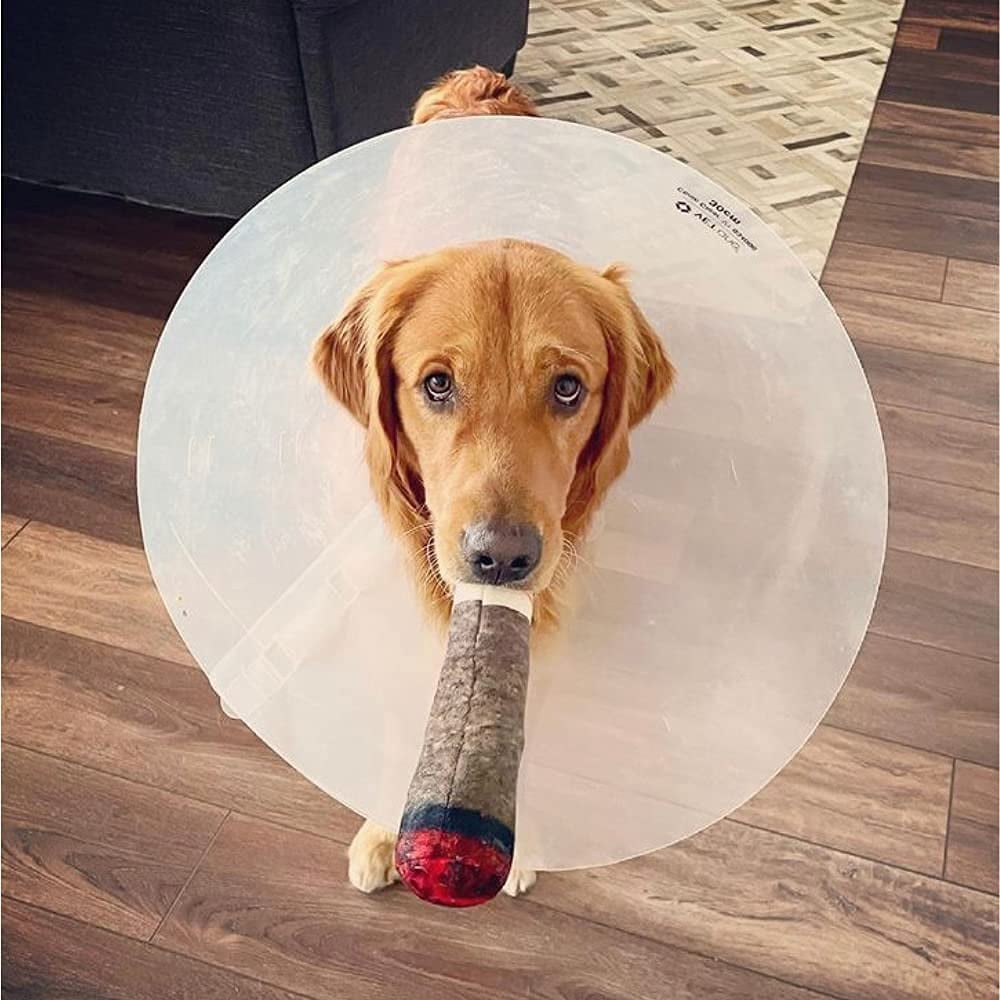 🐶The Doobie Paw🚬