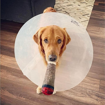 🐶The Doobie Paw🚬